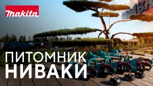 Особое мнение: Питомник Ниваки