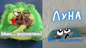 Монстриксы серия 31 . Шоколад плохо повлиял на паузика