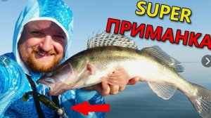 ПРИМАНКА УБИЙЦА ПОЙМАЛА УЖЕ ЗА СОТНЮ СУДАКОВ!Ловля судака на джиг