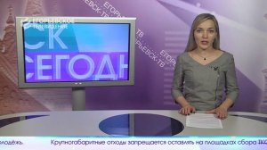 Новый выпуск программы “Егорьевск сегодня” от 26.05.26
