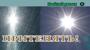 Притенение хвойных растений и ель из семян цвет.Питомник «Хвойный дворик»