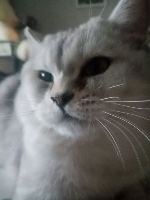 Я обновился до виндовс 8.1