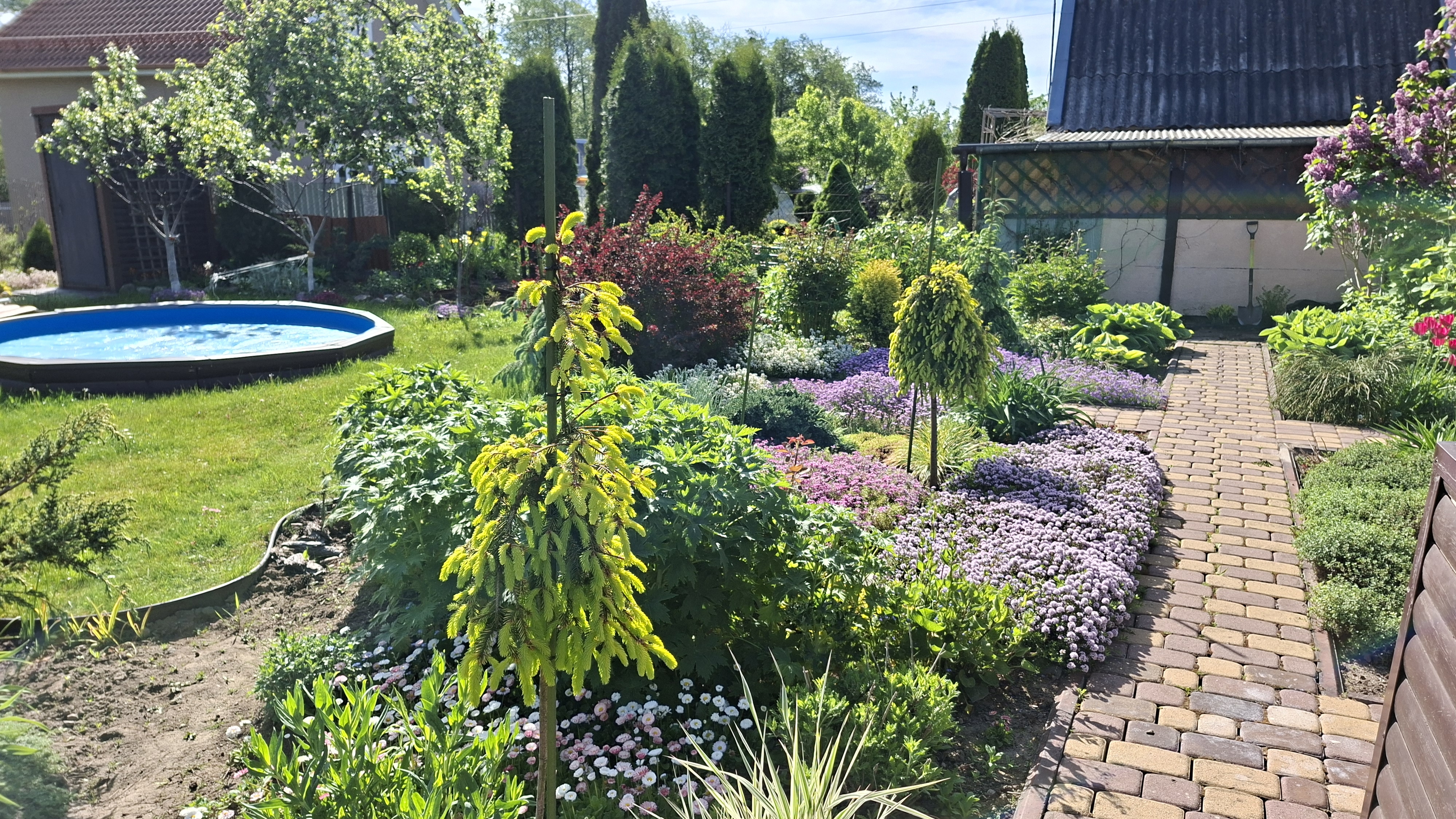 Любимая дача на пороге лета💜🌸