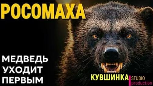 15 килограмм веса приводит в ужас медведей и волков смотреть онлайн