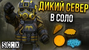 СОЛО Выносы С Дикого Севера В СТАЛКРАФТ | STALCRAFT: X