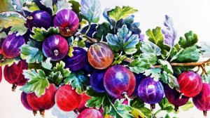 Акварели художника Татьяны Хазовой
