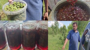 ВЛОГ/СОБИРАЕМ СОСНОВЫЕ ШИШКИ .ВАРИМ ВАРЕНЬЕ ИЗ ШИШЕК