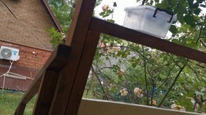 VID_20260527_181501[2]