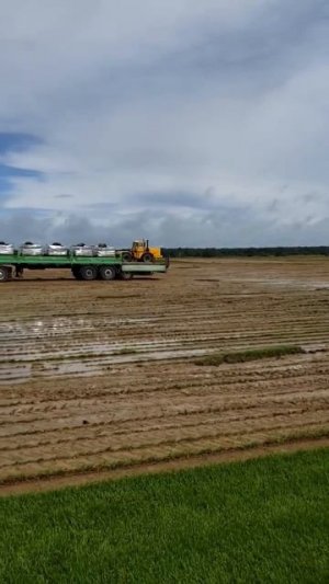 Битва за урожай: доставка в любых условиях ⚡️🌱 #shorts #рулонныйгазон #москва #газонcity