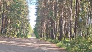 Ты Российская дорога семь загибов на версту.