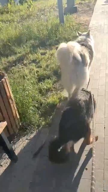 Зак смотреть онлайн