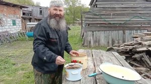 Как маринуем селёдку. Николай Кузьмин. 22.05.2026