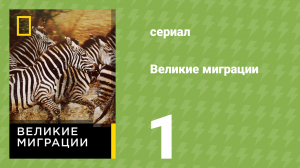 Великие миграции 1 сезон 1 серия (документальный сериал, 2010)