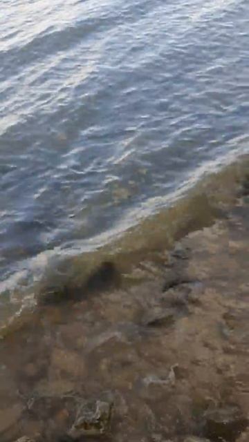 Вода прозрачная ,красиво как 🥰#ХИЖИНАРЫБАКАВОЛГОГРАД