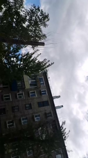 День зефирки часть 2