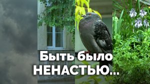 Быть было ненастью... | С любовью к русской природе