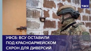 УФСБ: ВСУ оставили под Красноармейском схрон для диверсий