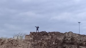 играем в бравл и рб
