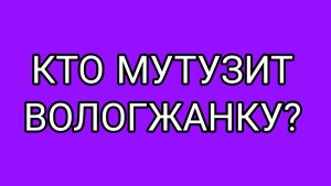ДОМОСЕР разглагольствует о побоях ВОЛОГЖАНКИ
