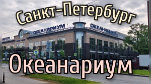 Океанариум Санкт-Петербурга