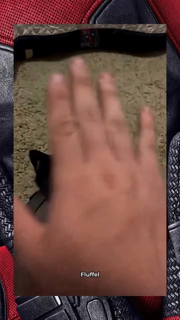 Оставь меня подруга я в печали 😼🫶😎