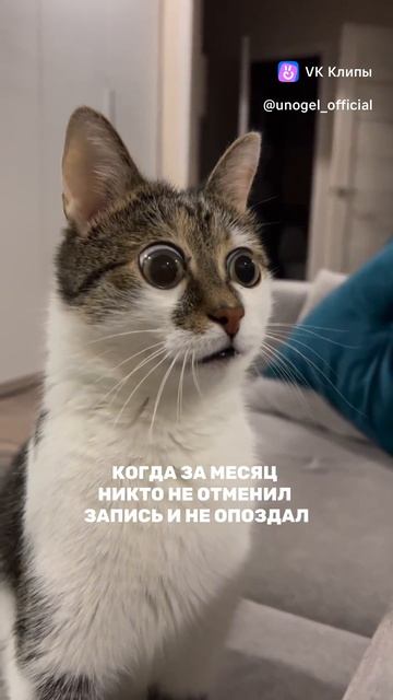UNO клип