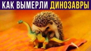 Приколы с животными. КАК ВЫМЕРЛИ ДИНОЗАВРЫ))