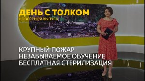 День с Толком 27.05.2026