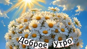 Открытка доброе утро прекрасного настроения – красивая музыкальная открытка с пожеланиями