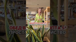 Обед в отеле Египта 5* ПРОСТО РАССТРОЙСТВО