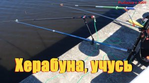 Херабуна, я учусь постепенно