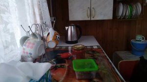 Жизнь пенсионеров.Обживаемся на даче.