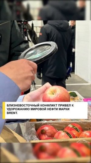 #работа #8мрот  #хозяйство #мрот2026 #бензин #зарплата #политика #сво2025 #россия  #единоепособие