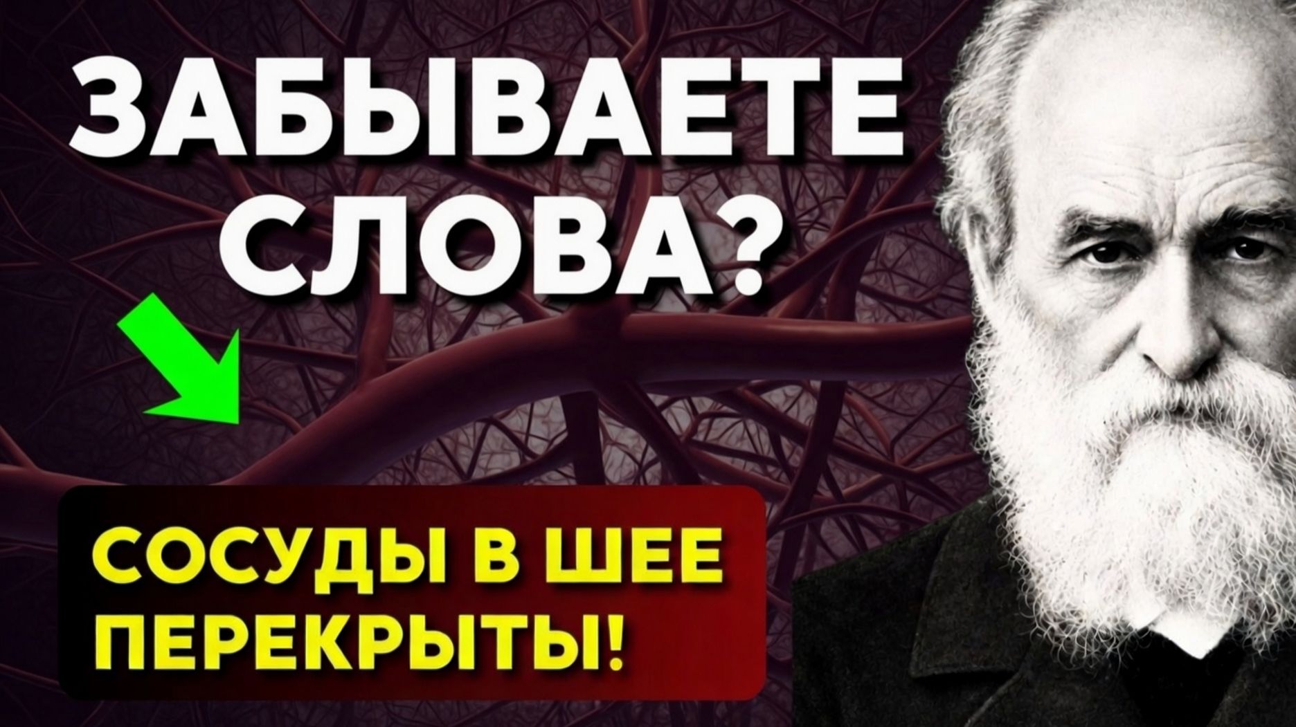Всего одно действие в день, чтобы ЗАБЫТЬ ОБ ИНСУЛЬТЕ: Советы Великого Петра Лесгафта