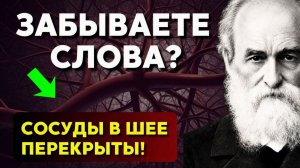 Всего одно действие в день, чтобы ЗАБЫТЬ ОБ ИНСУЛЬТЕ: Советы Великого Петра Лесгафта