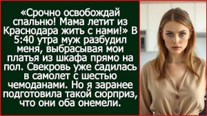 Истории из жизни|Срочно освобождай спаль|Аудио рассказы|Аудиокниги слушать онлайн|Жизненные истории