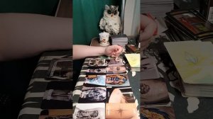 Что он хотел бы вам сказать 🧐😏😊