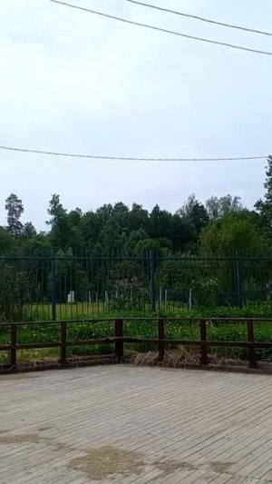 Скит патриарха Никона. Новый Иерусалим. 27 мая