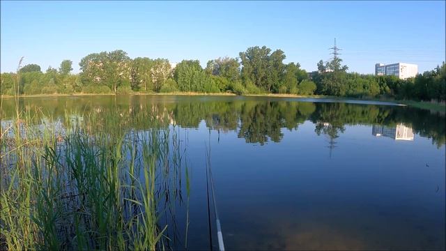 ТОЧКА ЛОВА. Рыбачим на озере смотреть онлайн