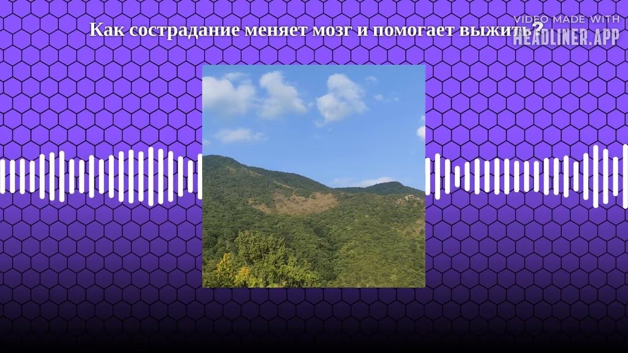 Как сострадание меняет мозг и помогает выжить? | Шесть сфер восприятия Как сострадание меняет... смотреть онлайн