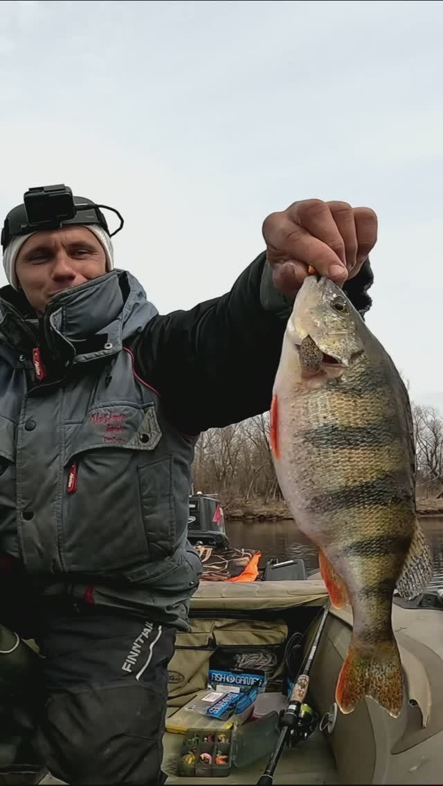 ВОТ ЭТО ОКУШАРА ВЗЯЛ НА РАКА😲🔥🐠 ЛОВЛЯ ОКУНЯ НА СПИННИНГ НА ВОЛГЕ