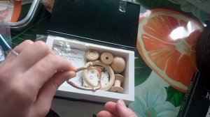 СП«Дама сдавала багаж 3». Вступление.