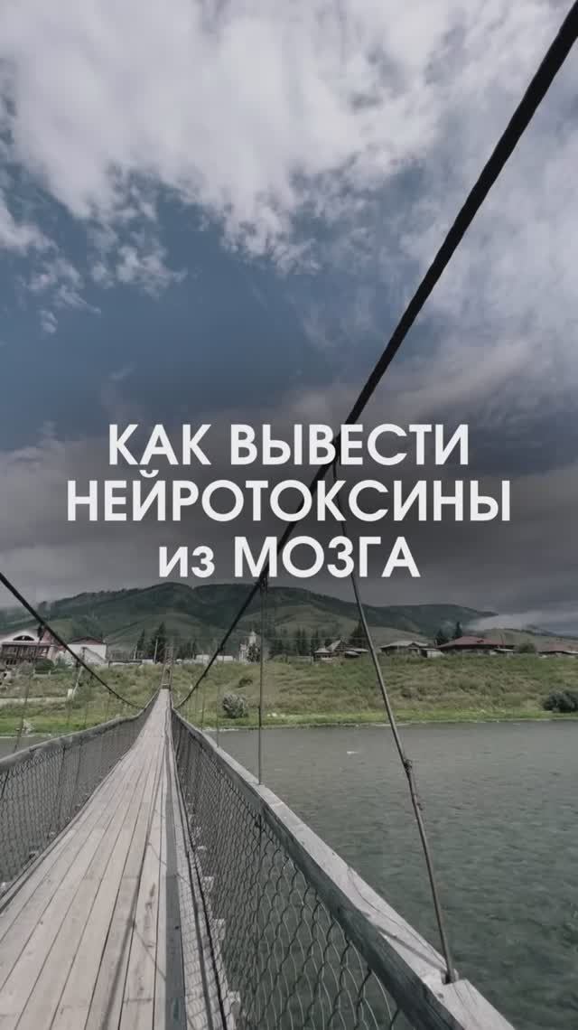 Как вывести нейротоксины из мозга?