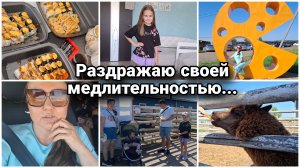 Съездили и впервые увидели их вживую.Слишком уж я медлительная и раздражаю иногда. Отвечу Вам на это