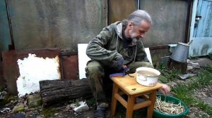 Ива - природный аспирин .