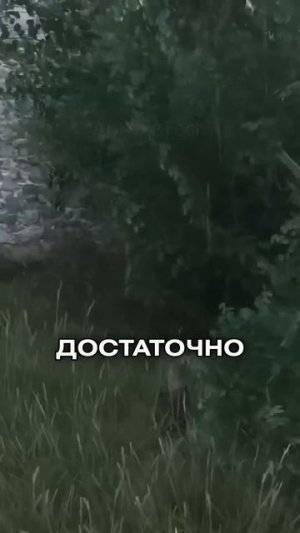 💦Забавные пасхалки в Kingdom come Deliverance 2