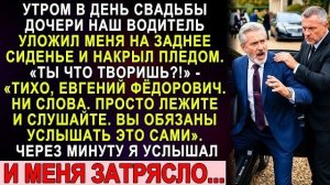 Истории из жизни|Водитель уложил меня|Аудио рассказы|Аудиокниги слушать онлайн|Жизненные истории