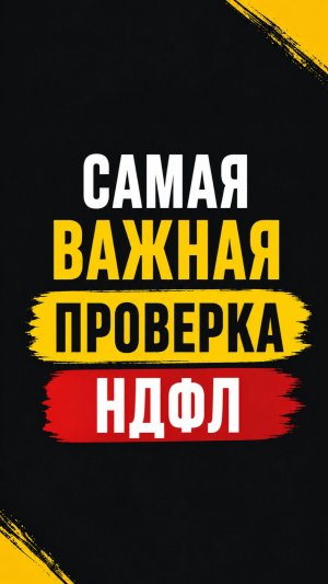 Самая важная проверка НДФЛ