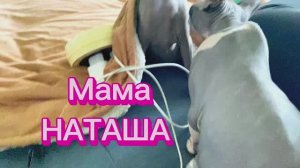 УТРО,начинается с КОШЕК/И конечно с Вайлдберис/Деньги как вода🤦/архив