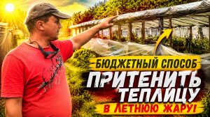 КАК ПРИТЕНИТЬ ТЕПЛИЦУ? ПРОВЕРЕННЫЙ НАДЁЖНЫЙ И НЕДОРОГОЙ СПОСОБ!